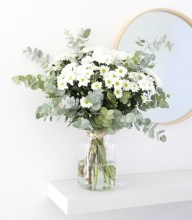 bouquet-margaritas-blancas