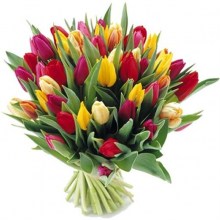tulip-bouquet-large-tulip-flower-bouquet-mothers-day-flowers-the-little-flower-shop-florist-london-brixton-flowers-clapham